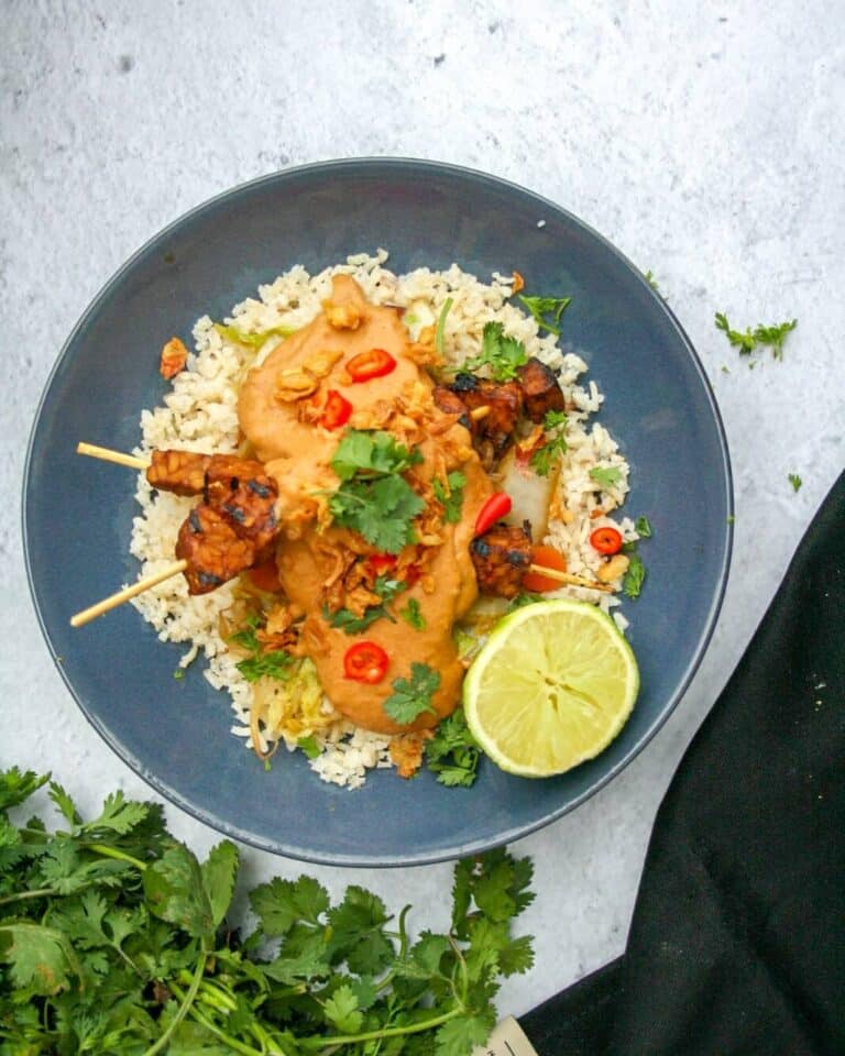 Meer vegetarisch eten Tempeh saté met frisse pindasaus